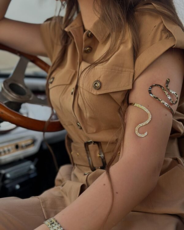 Ensemble Safari