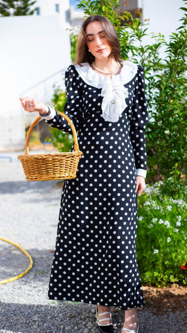 IMG_6576 Robe Pois & Volants